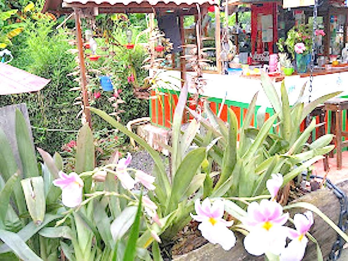 Hostal Estrella De Agua Salento Exterior foto