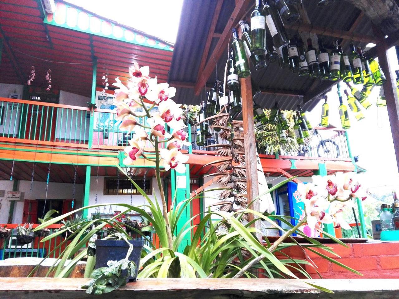 Hostal Estrella De Agua Salento Exterior foto